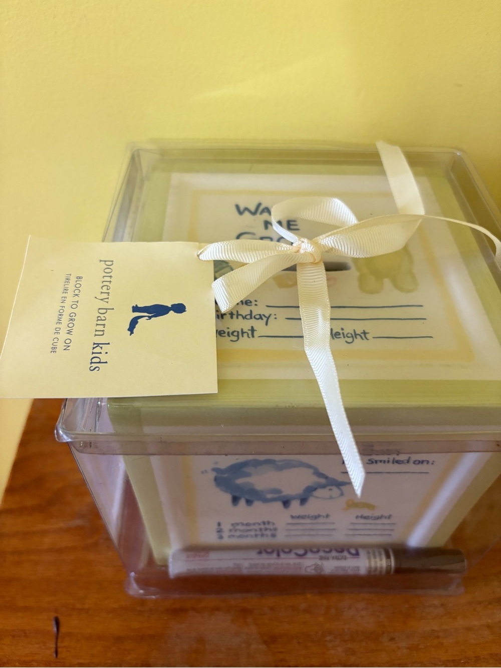 Pottery Barn Kids Baby Memory Bank Box with Ribbon